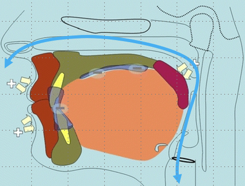 Schéma de la position de repos selon W. Engelke